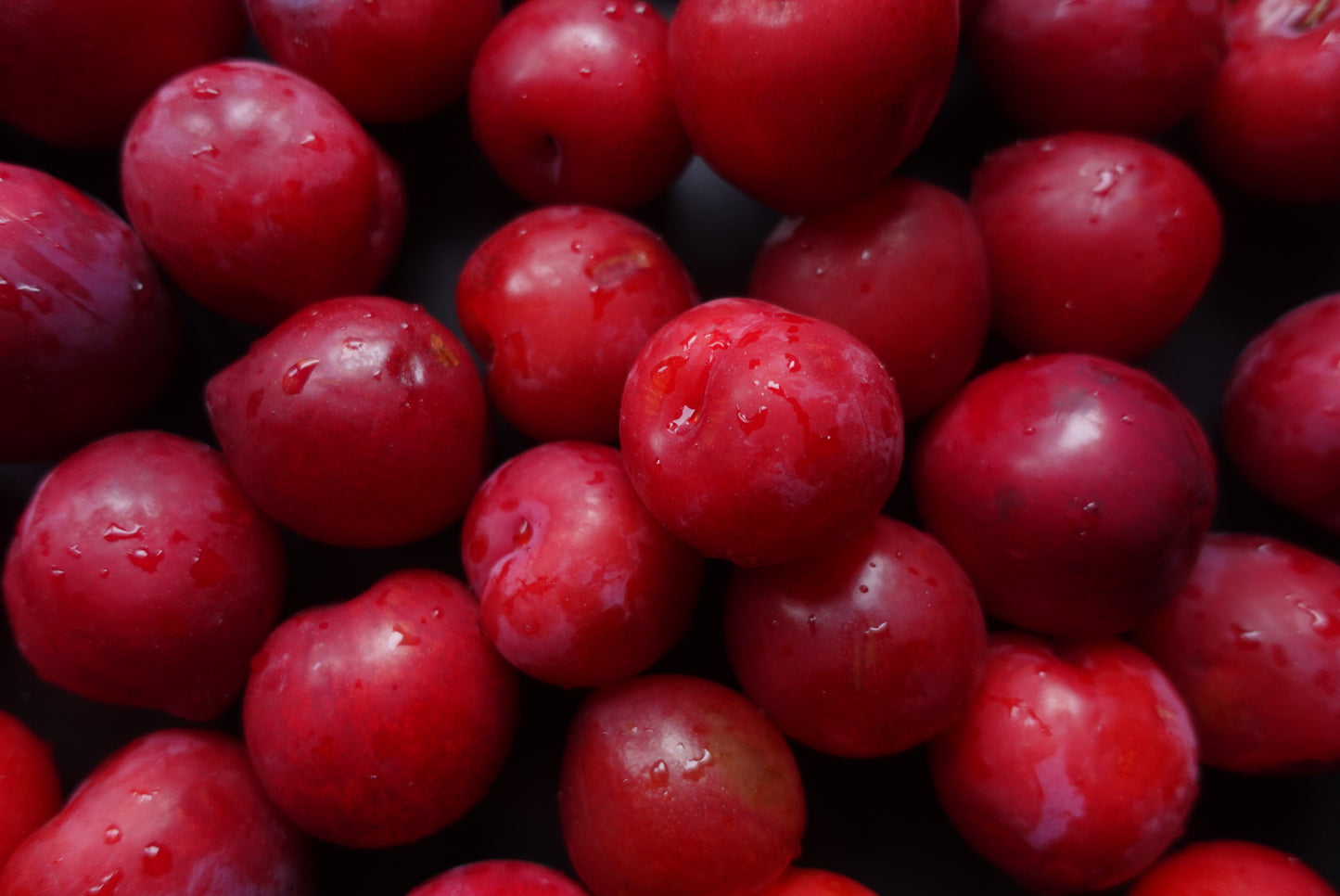 スコーンタタン便